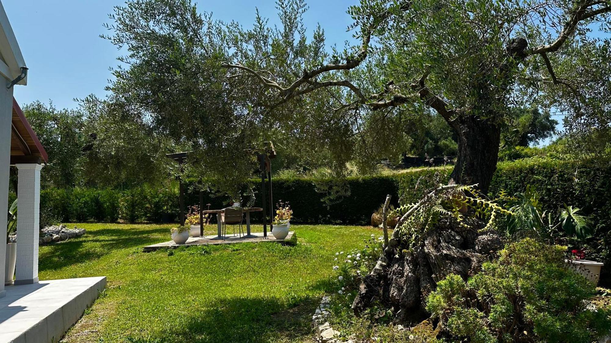 Apartment Serenity Arillas Corfu